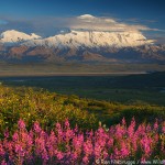 Denali, Denali National Park, Alaska.