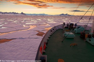 Icebreaker Ortelius moving through ice at sunset / sunrise as we travel below the Antarctic Circle, Antarctica.