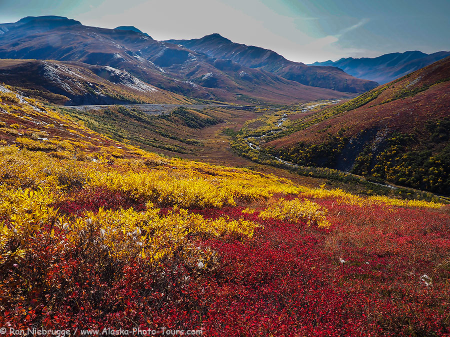 Autumn in the Brooks Range, Alaska. 