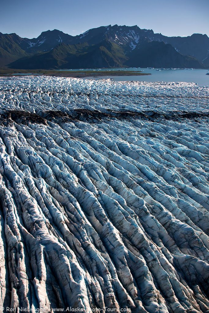 Bear Glacier, Kenai Fjords National Park, Alaska. 