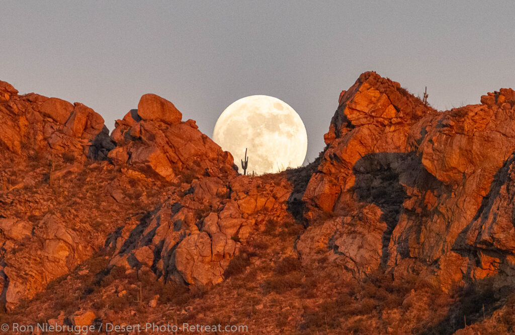 Moon rise, Tortolita Mountain, Tucson, Arizona.